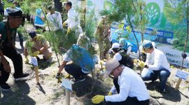 PLN bersama pemerintah daerah dan stakeholder melakukan penanaman 2.500 pohon di kawasan Pantai Induk, Gerung, Lombok Barat, sebagai upaya menjaga kelestarian pesisir dan mencegah abrasi.(Dok.PLN)