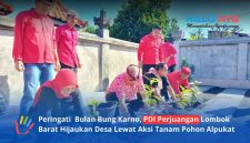 Jajaran pengurus PDI Perjuangan melaksanakan kegiatan penanaman bibit pohon alpukat di Desa Giri Tembesi, Kecamatan Gerung, pada Minggu (21/6/2026).(Foto: Istimewa)