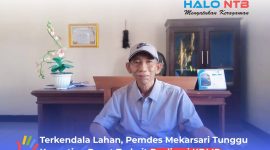Kepala Desa Mekarsari, Sapinah, saat memberikan keterangan di ruang kerjanya, Jumat (17/7/2026).(Foto: Istimewa)