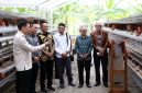 Caption:
Bank NTB Syariah bersama pemangku kepentingan meninjau lokasi budidaya ayam petelur dalam Program Desa Berdaya di Desa Lendang Nangka Utara, Lombok Timur. Program ini menyasar 20 penerima manfaat untuk mendorong ekonomi produktif dan kemandirian masyarakat desa.(Foto: Istimewa)