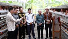 Caption:
Bank NTB Syariah bersama pemangku kepentingan meninjau lokasi budidaya ayam petelur dalam Program Desa Berdaya di Desa Lendang Nangka Utara, Lombok Timur. Program ini menyasar 20 penerima manfaat untuk mendorong ekonomi produktif dan kemandirian masyarakat desa.(Foto: Istimewa)