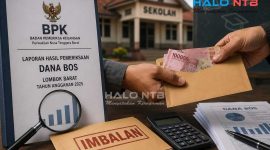 
Foto ilustrasi. BPK menemukan praktik pemberian imbalan dari 11 sekolah di Lombok Barat kepada penyedia barang dan jasa melalui modus pinjam nama dalam transaksi SIPLah.
(Foto: Istimewa)