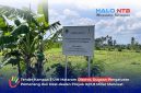 Papan plang penanda kepemilikan lahan Kementerian Agama RI di lokasipembangunan Kampus 3 UIN Mataram, Desa Gapuk, Kabupaten Lombok Barat.(Foto: Halo NTB)