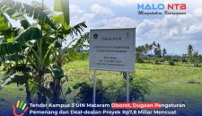 Papan plang penanda kepemilikan lahan Kementerian Agama RI di lokasipembangunan Kampus 3 UIN Mataram, Desa Gapuk, Kabupaten Lombok Barat.(Foto: Halo NTB)