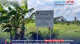 Papan plang penanda kepemilikan lahan Kementerian Agama RI di lokasipembangunan Kampus 3 UIN Mataram, Desa Gapuk, Kabupaten Lombok Barat.(Foto: Halo NTB)