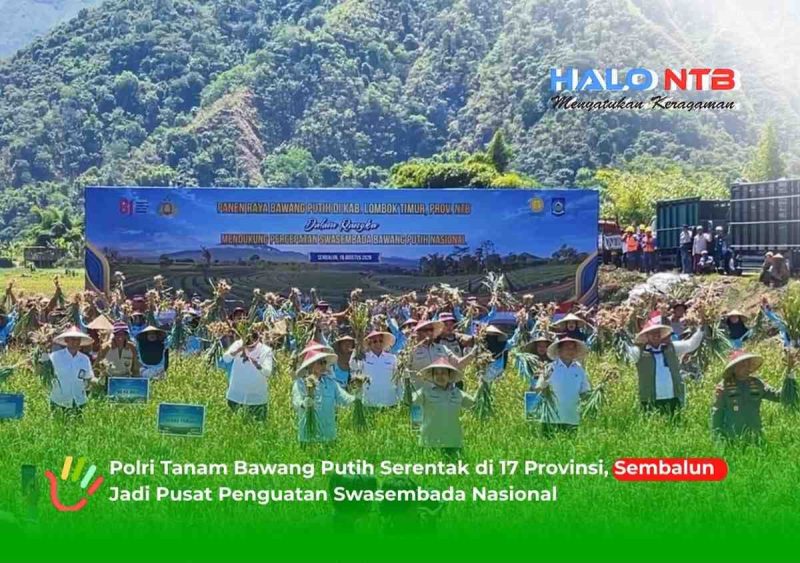 Kapolri Jenderal Listyo Sigit Prabowo bersama Menteri Pertanian Amran Sulaiman, Menko Bidang Pangan Zulkifli Hasan, anggota Komisi IV DPR RI Siti Hediati Soeharto, dan jajaran Forkopimda NTB mengikuti panen raya bawang putih di Sembalun, Lombok Timur, Rabu (19/8/2026).(Foto: Istimewa)
