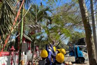 Tim Elektromekanik PLN bersama mitra melakukan pekerjaan pemeliharaan jaringan. (Dok. PLN)