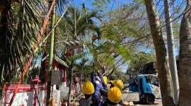Tim Elektromekanik PLN bersama mitra melakukan pekerjaan pemeliharaan jaringan. (Dok. PLN)