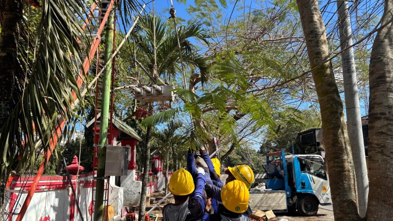 Tim Elektromekanik PLN bersama mitra melakukan pekerjaan pemeliharaan jaringan. (Dok. PLN)