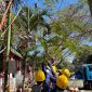 Tim Elektromekanik PLN bersama mitra melakukan pekerjaan pemeliharaan jaringan. (Dok. PLN)
