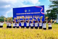 Kepala Kantor Wilayah Ditjenpas NTB, Ketut Akbar Herry Achjar, bersama Kepala Lapas Kelas IIA Lombok Barat, Dadang Rais Saputro, dan jajaran pemasyarakatan mengangkat hasil panen padi saat kegiatan Panen Raya Padi di lahan Sarana Asimilasi dan Edukasi (SAE) Lapas Kelas IIA Lombok Barat, Rabu (9/9/2026).(Foto: Istimewa)