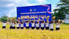 Kepala Kantor Wilayah Ditjenpas NTB, Ketut Akbar Herry Achjar, bersama Kepala Lapas Kelas IIA Lombok Barat, Dadang Rais Saputro, dan jajaran pemasyarakatan mengangkat hasil panen padi saat kegiatan Panen Raya Padi di lahan Sarana Asimilasi dan Edukasi (SAE) Lapas Kelas IIA Lombok Barat, Rabu (9/9/2026).(Foto: Istimewa)