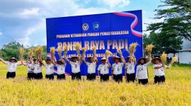 Kepala Kantor Wilayah Ditjenpas NTB, Ketut Akbar Herry Achjar, bersama Kepala Lapas Kelas IIA Lombok Barat, Dadang Rais Saputro, dan jajaran pemasyarakatan mengangkat hasil panen padi saat kegiatan Panen Raya Padi di lahan Sarana Asimilasi dan Edukasi (SAE) Lapas Kelas IIA Lombok Barat, Rabu (9/9/2026).(Foto: Istimewa)