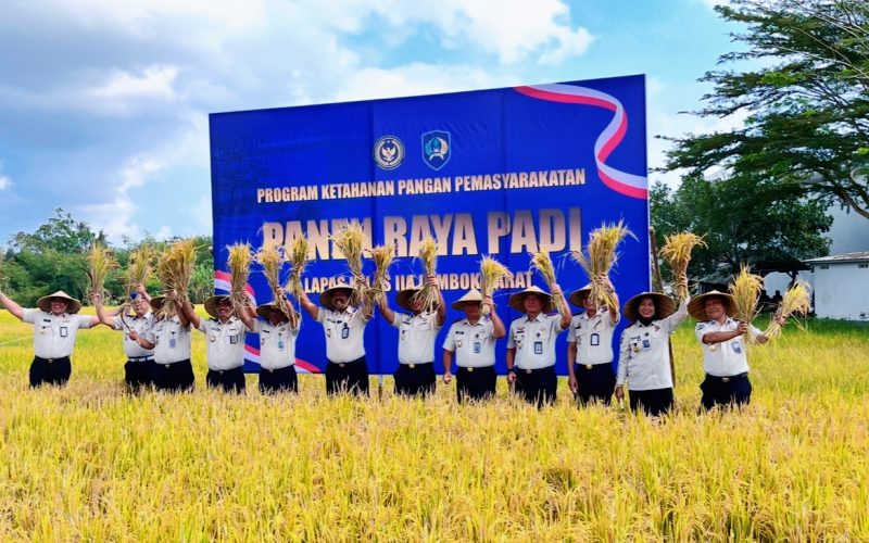 Kepala Kantor Wilayah Ditjenpas NTB, Ketut Akbar Herry Achjar, bersama Kepala Lapas Kelas IIA Lombok Barat, Dadang Rais Saputro, dan jajaran pemasyarakatan mengangkat hasil panen padi saat kegiatan Panen Raya Padi di lahan Sarana Asimilasi dan Edukasi (SAE) Lapas Kelas IIA Lombok Barat, Rabu (9/9/2026).(Foto: Istimewa)