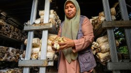 Aktivitas budidaya jamur tiram yang menjadi salah satu penggerak ekonomi perempuan di Desa Medana.(Foto: Istimewa)