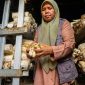 Aktivitas budidaya jamur tiram yang menjadi salah satu penggerak ekonomi perempuan di Desa Medana.(Foto: Istimewa)