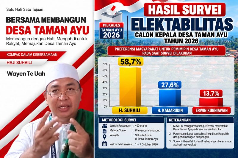 Infografis hasil survei preferensi masyarakat dalam Pilkades Taman Ayu 2026 mencatat H. Suhaili 58,7 persen, H. Kamarudin 27,6 persen, dan Erwin Kurniawan 13,7 persen. Data dalam gambar menyebut survei dilakukan terhadap 400 responden pada 1–7 Oktober 2026.(Foto: Istimewa)
