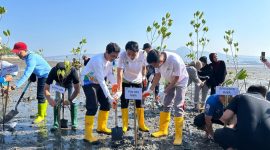 PLN ikut bergerak: Sejumlah pegawai PLN UP3 Bima bersama peserta lainnya turun langsung menanam bibit mangrove sebagai bagian dari dukungan terhadap Gerakan Indonesia ASRI dan Kota Bima BISA.