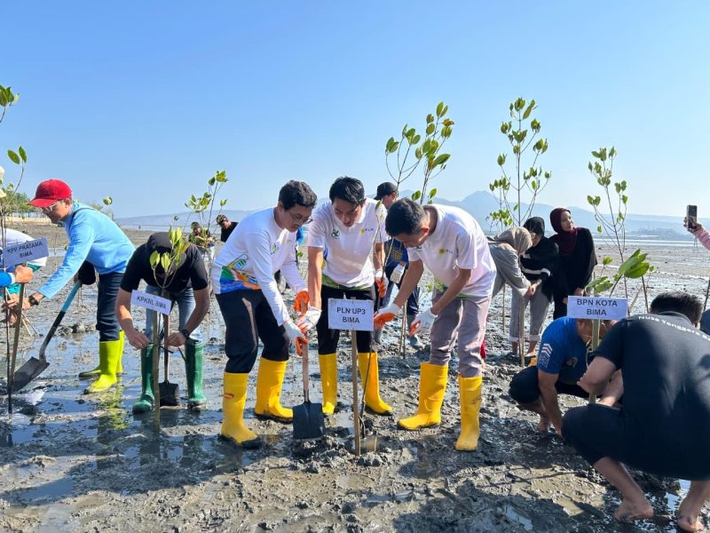 PLN ikut bergerak: Sejumlah pegawai PLN UP3 Bima bersama peserta lainnya turun langsung menanam bibit mangrove sebagai bagian dari dukungan terhadap Gerakan Indonesia ASRI dan Kota Bima BISA.